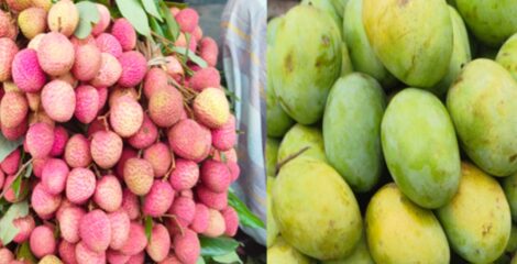 জমজমাট ফলের আড়ত