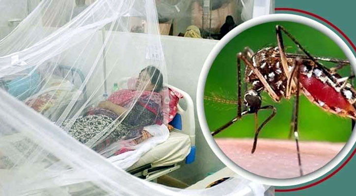২৪ ঘণ্টায় ডেঙ্গুতে ২ জনের মৃত্যু, হাসপাতালে ভর্তি ২২০ জন