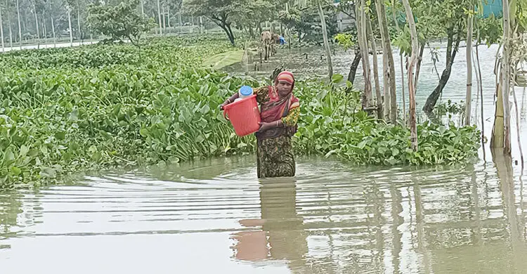 পানি কমলেও স্বস্তি নেই, এখনও বিপৎসীমার ওপরে দুধকুমার