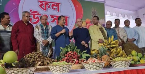 ফল উৎসবের সংস্কৃতি তৃণমূল পর্যায়ে ছড়িয়ে দেওয়ার আহ্বান তথ্যমন্ত্রীর