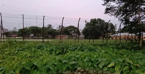 বিএসএফের গুলিতে বাংলাদেশি যুবক নিহত, লাশ ভারতে