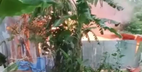 ধর্ষণ-হত্যাকাণ্ডের জেরে আগুন, দগ্ধ হয়ে তিনজনের মৃত্যু