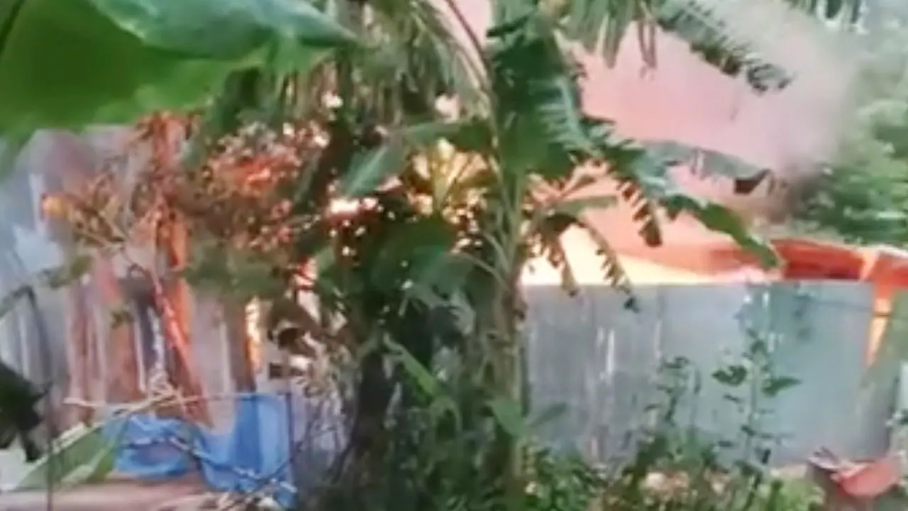 ধর্ষণ-হত্যাকাণ্ডের জেরে আগুন, দগ্ধ হয়ে তিনজনের মৃত্যু