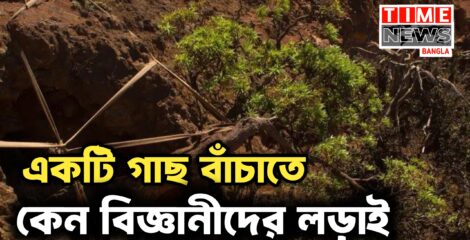 বিরল গাছ বাঁচাতে বিজ্ঞানীদের সাফল্য