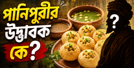 পানিপুরীর উদ্ভাবক কি মহাভারতের দ্রৌপদী