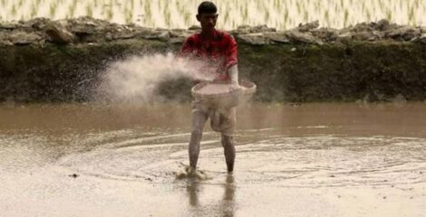 ৫ মাসে ৭ লাখ কৃষকের ৬০৫ কোটি টাকার কৃষিঋণ মওকুফ