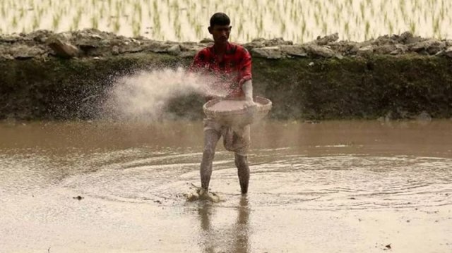 ৫ মাসে ৭ লাখ কৃষকের ৬০৫ কোটি টাকার কৃষিঋণ মওকুফ