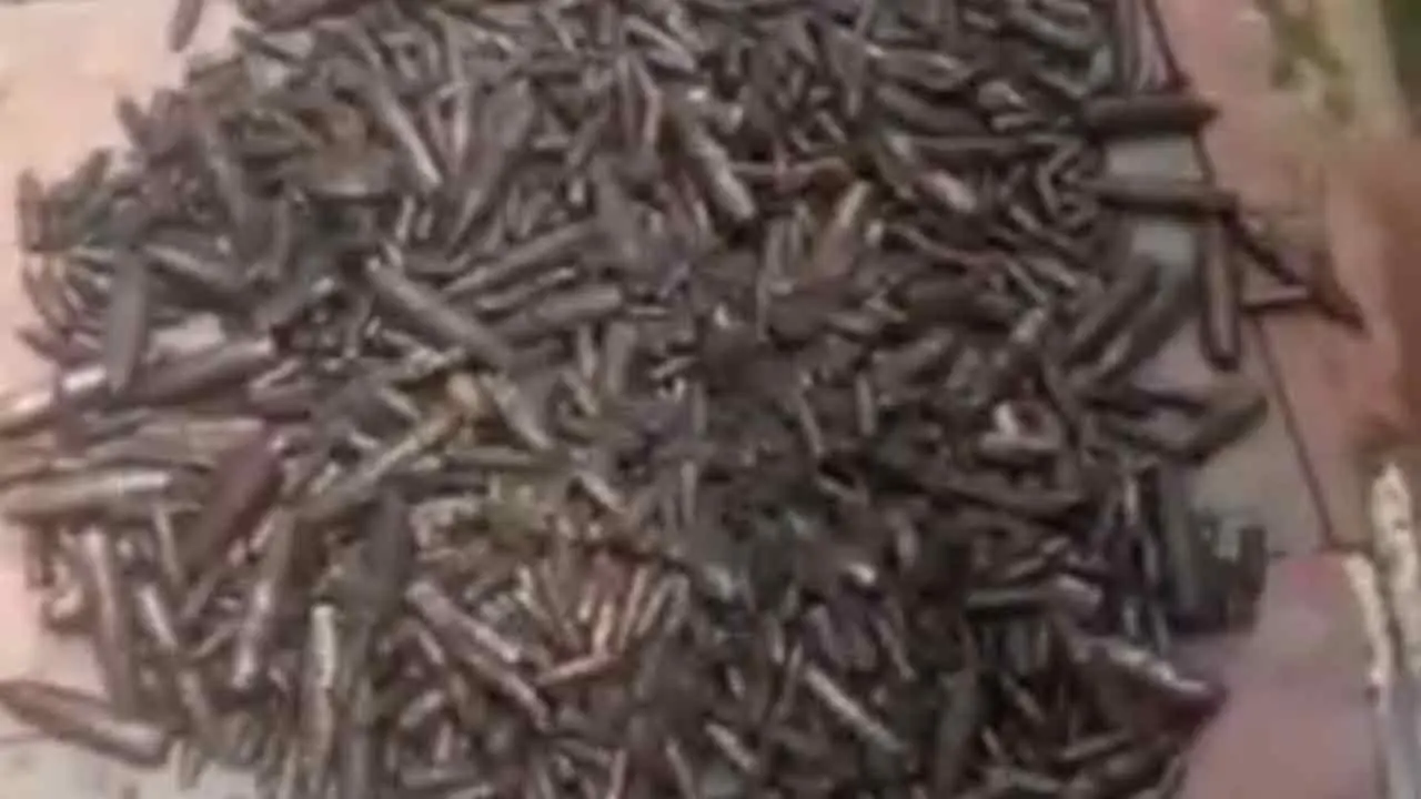 চট্টগ্রামে নালা থেকে উদ্ধার দেড় হাজারের বেশি বুলেট
