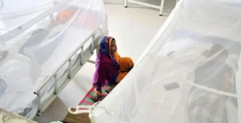 ডেঙ্গুতে ২৪ ঘণ্টায় দুই নারী ও এক শিশুর মৃত্যু