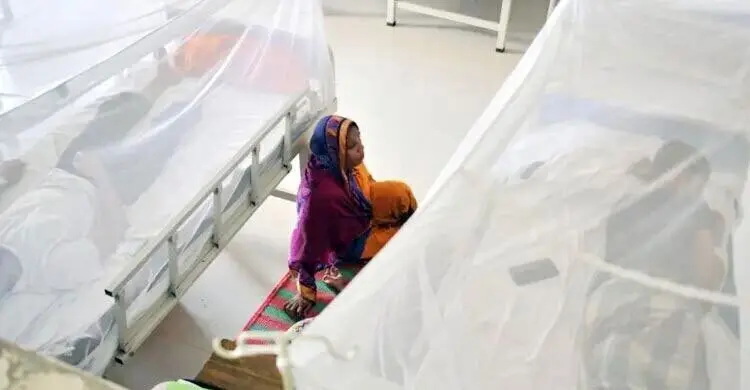 ডেঙ্গুর ভয়াবহ বিস্তার, ২৪ ঘণ্টায় হাসপাতালে ১,৩২৪ রোগী