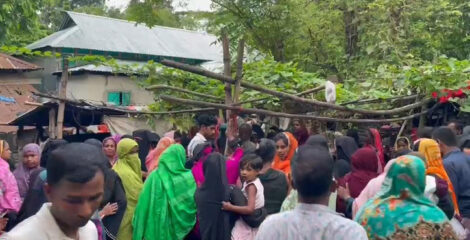 নরসিংদীতে পুকুরে গোসল করতে নেমে তিন শিশুর মৃত্যু