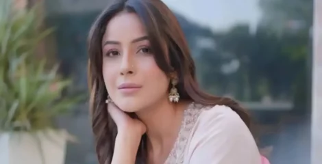 বিনা পারিশ্রমিকে কাজ করেও পাননি সম্মান, অকপট শেহনাজ গিল