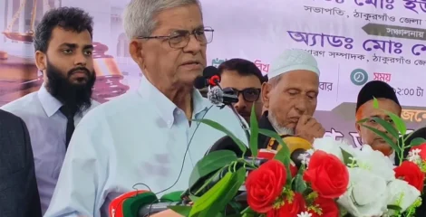 ফ্যাসিস্ট ব্যবস্থা থেকে বেরিয়ে আসতে সক্ষম হয়েছি : মির্জা ফখরুল