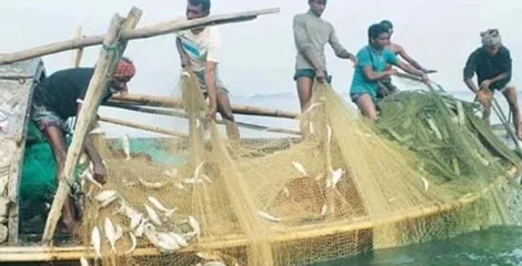 মিঠা পানির মাছ উৎপাদনে দেশের শীর্ষ অঞ্চল এখন রাজশাহী