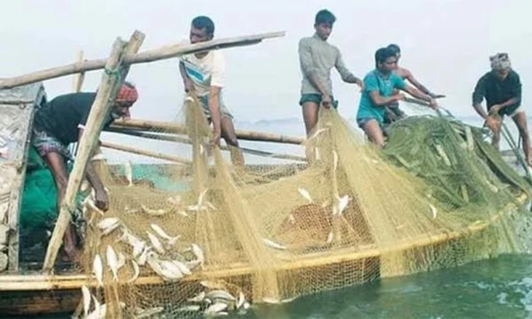 মিঠা পানির মাছ উৎপাদনে দেশের শীর্ষ অঞ্চল এখন রাজশাহী