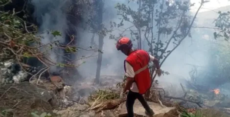 কেনিয়ায় হেলিকপ্টার বিধ্বস্ত, ইকুয়েডরের গোয়েন্দাপ্রধান-স্ত্রীসহ নিহত ৭
