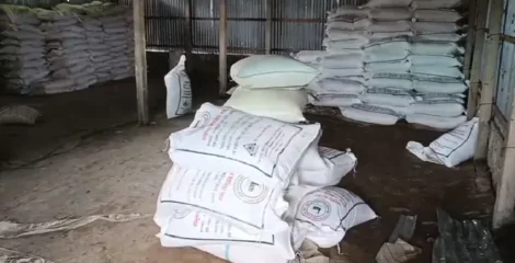 ডিলার না আসায় গুদাম ভেঙে ১০ হাজার কেজি সার নিয়ে গেলেন কৃষকরা