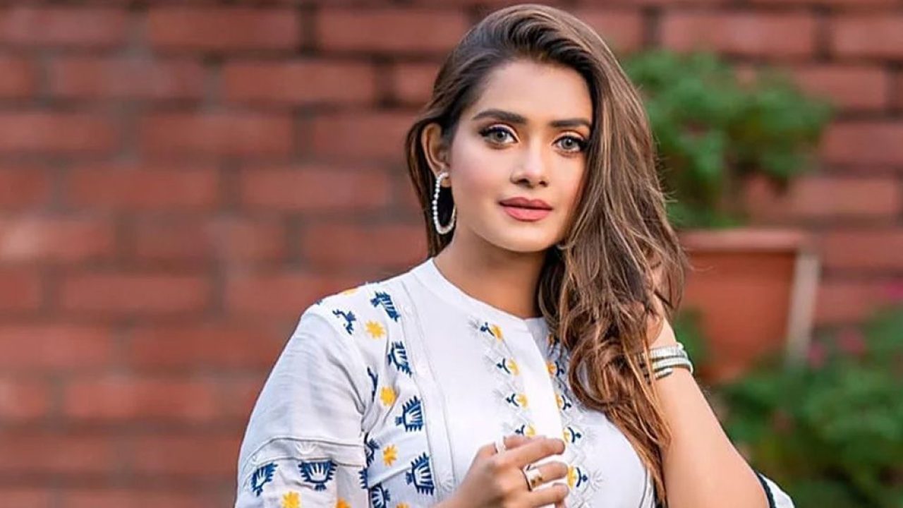 শাড়ির জন্য আদালতে আসা কাম্য নয়, বললেন তানজিন তিশা