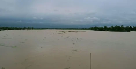 তিস্তার পানি বাড়ার আশঙ্কা, ৫ জেলার নিম্নাঞ্চলে সাময়িক প্লাবনের শঙ্কা