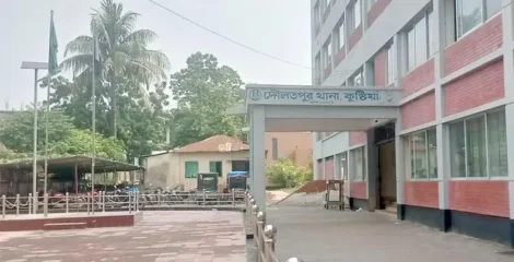 কুষ্টিয়ায় অস্ত্র-ককটেলসহ যুবক আটক, গণপিটুনিতে আহত