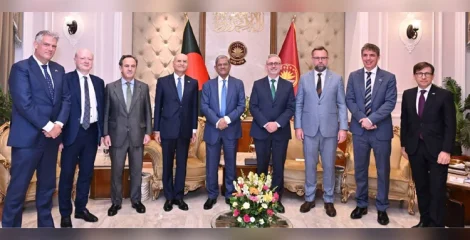 বাংলাদেশে ইউরোপীয় বিনিয়োগ বাড়ানোর আহ্বান রাষ্ট্রপতির