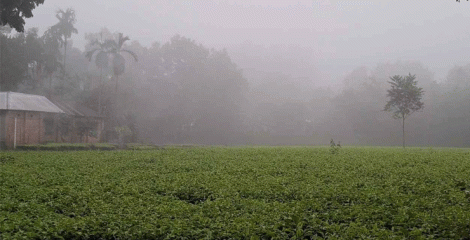 পঞ্চগড়ে শীতের আগমনী বার্তা, তেঁতুলিয়ায় তাপমাত্রা নামল ১৬.১ ডিগ্রিতে