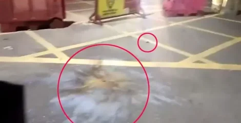 প্রধানমন্ত্রীর কার্যালয়ের সামনে ককটেল হামলা, তদন্তে পুলিশ