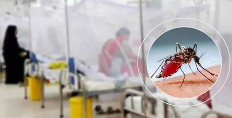 ডেঙ্গুতে আরও ৬ জনের মৃত্যু, হাসপাতালে ভর্তি ১ হাজার ৮৯৮
