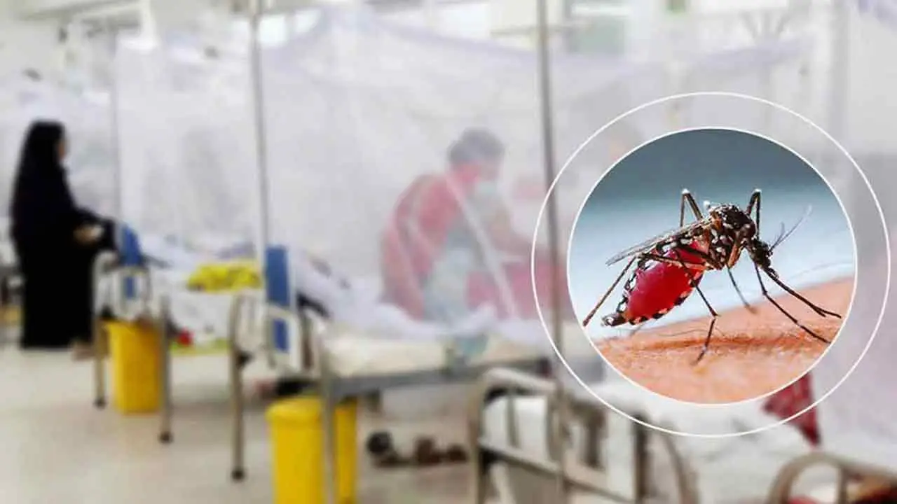 ডেঙ্গুতে আরও ৬ জনের মৃত্যু, হাসপাতালে ভর্তি ১ হাজার ৮৯৮