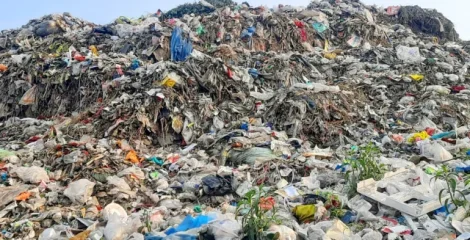 নাটোরের ৮ পৌরসভায় নেই ভাগাড়, যত্রতত্র বর্জ্যে দূষিত পরিবেশ